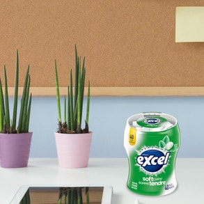 excel softchew